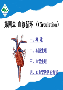 动物生理学-第四章  血液循环1