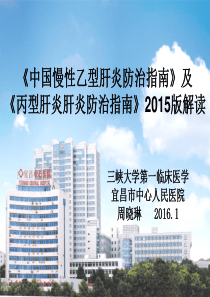 慢乙肝丙肝2015指南解读