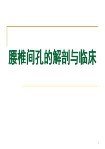 椎间盘及椎间孔的解剖病理