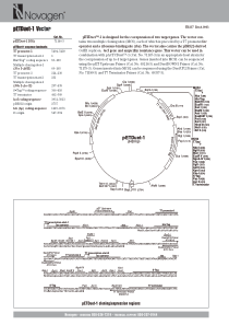 pETDuet-1