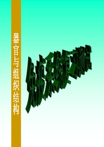 95免疫系统