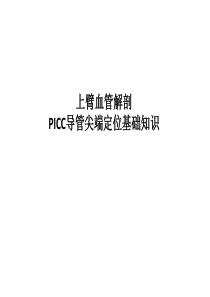 血管解剖、PICC导管尖端定位基础知识