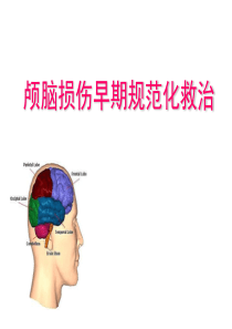 颅脑损伤规范化治疗