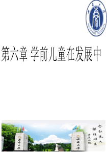 学前儿童发展心理学-王振宇-第六章-学前儿童在发展中资料