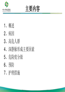 深静脉血栓预防护理-PPT文档资料