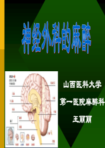 神经外科麻醉