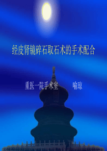 经皮肾镜碎石取石术