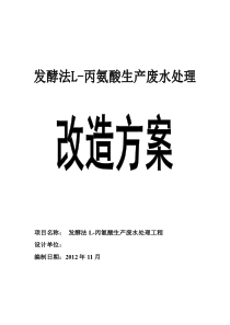 改造300吨丙氨酸废水处理设计方案