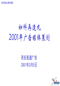 妇科在造丸2001年媒体策划