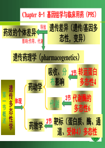 8药物基因组学与临床用药