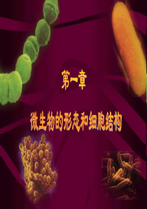 农业微生物(重点)