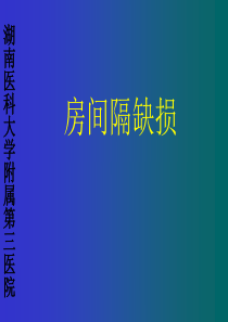 心脏超声检查3刘明辉1999湘雅