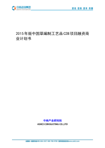 2015年版中国草编制工艺品C2B项目融资商业计划书