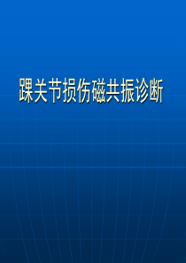 踝关节损伤磁共振诊断