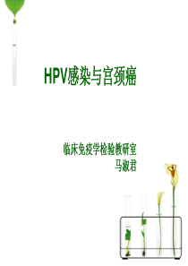 HPV感染与宫颈癌