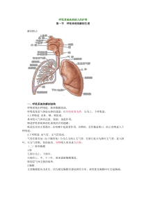 呼吸系统疾病病人的护理