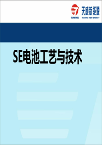 SE电池工艺与技术