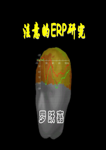 注意ERP研究