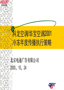 科龙华宝空调2001年度策略执行方案