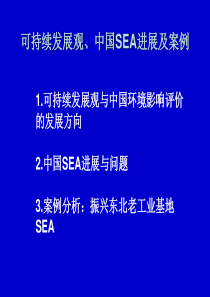 方向2中国SEA进展与问题3案例分析：振兴东北老工业基