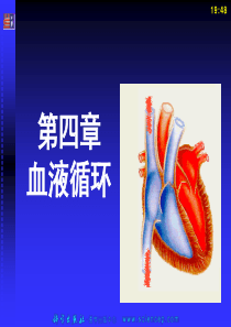 生理学中职课件04