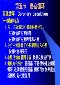 冠脉的解剖及生理特点