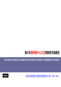 泰兴市黄桥镇中心片区控制性详细规划(11月10改)