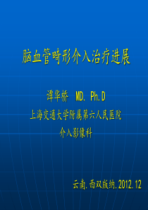 脑血管畸形介入治疗进展 (1)