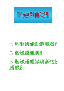 固有免疫细胞及功能