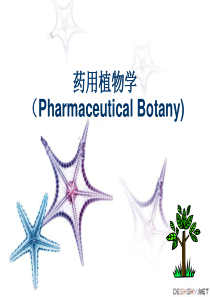 药用植物学绪论ppt课件