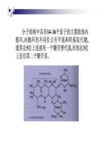 大环内酯类抗生素_1511885233.ppt-PPT文档