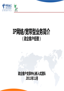 IP网络、宽带型业务简介