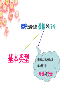 基本数据类型、常量和变量及常用标准函数