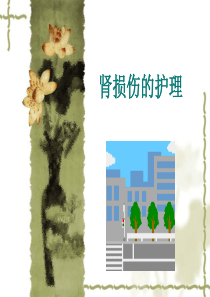 肾损伤