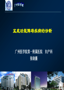 盆底功能障碍性疾病的诊断及康复治疗的评价(2008年)