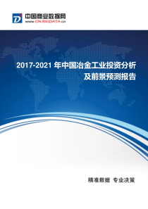 2017-2021年中国冶金工业发展与供需预测