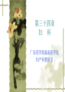 宫颈癌介绍