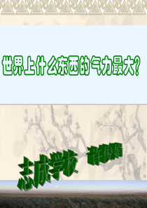 《野草》PPT课件