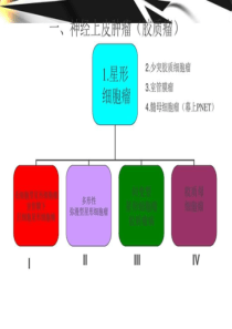 脑肿瘤影像学