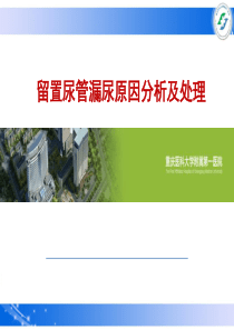 留置尿管漏尿原因分析及处理