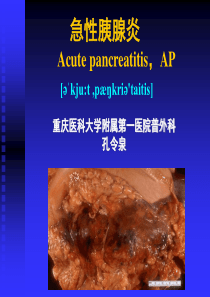 急性胰腺炎优秀课件PPT