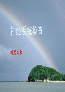 神经系统体格检查