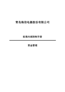 海信电器股份有限公司内控手册-资金管理