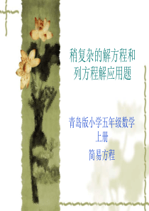 稍复杂的解方程和列方程解应用题