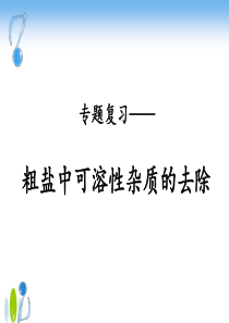 粗盐中可溶性杂质的去除