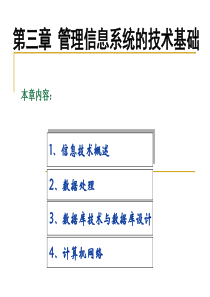 第3章-管理信息系统的技术基础