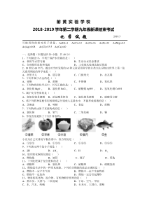 常州市前黄中学2018-2019学年第二学期化学新课结业考