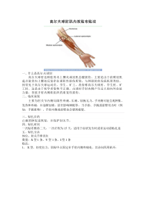 高尔夫球肘肌内效贴布贴法