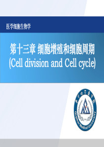 11-第十一章-细胞增殖和细胞周期2