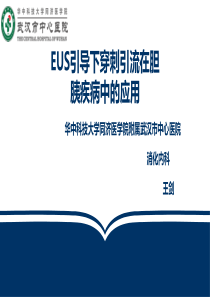 EUS引导下穿刺引流在胆胰疾病中的应用